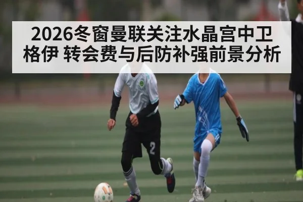 2026冬窗曼联关注水晶宫中卫格伊 转会费与后防补强前景分析